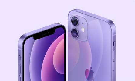 东阿苹果手机维修分享紫色版iPhone 12有什么技术亮点 